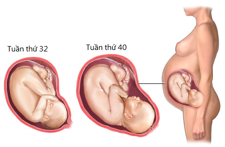 3 Tháng cuối thai kỳ: Thời điểm “bứt phá” của thai nhi
